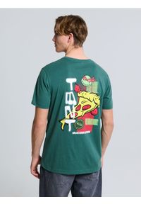 Sinsay - Koszulka z nadrukiem Teenage Mutant Ninja Turtles - zielony. Kolor: zielony. Wzór: nadruk