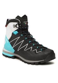 Dolomite Trekkingi Crodarossa Pro GTX 2.0 W GORE-TEX 280414 Czarny. Kolor: czarny