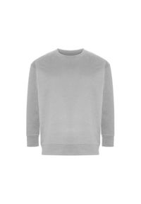 AWDIS - Bluza Z Recyklingu Dla Dorosłych Unisex Ecologie. Kolor: szary