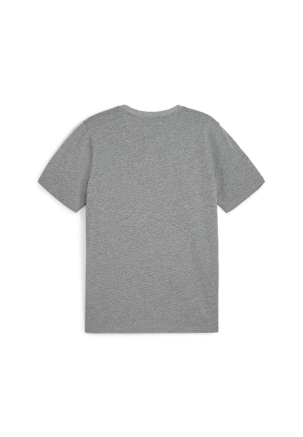 Polo Puma Teamgoal Casuals. Typ kołnierza: polo. Kolor: szary. Materiał: materiał