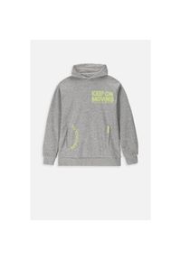 Lemon Explore - Bluza sportowa dziecięcy Lemon Exlopre ZL3 z kapturem. Typ kołnierza: kaptur. Kolor: szary. Materiał: bawełna, wiskoza. Wzór: nadruk