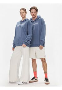 Adidas - adidas Bluza Terrex Large Logo Hoodie (Gender Neutral) HT2111 Niebieski Loose Fit. Kolor: niebieski. Materiał: bawełna #3