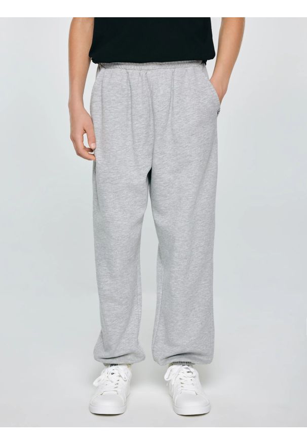 Big-Star - Spodnie chłopięce dresowe szare Polis 901. Okazja: na co dzień, na uczelnię. Kolor: szary. Materiał: dresówka. Wzór: aplikacja. Styl: casual, sportowy