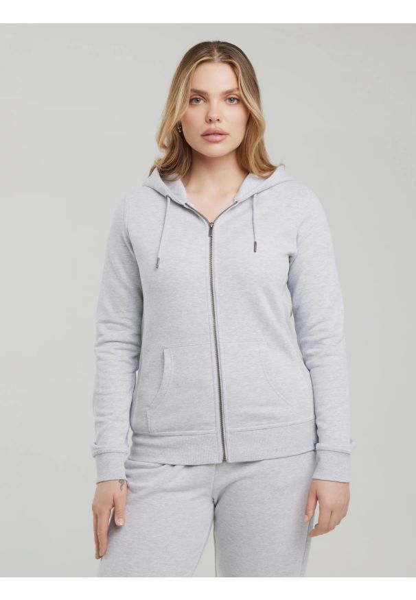 Big-Star - Bluza damska z kapturem szara Laurisana 901. Typ kołnierza: kaptur. Kolor: szary. Styl: sportowy, klasyczny