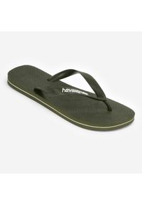 Japonki męskie Havaianas Logo Filet. Okazja: na plażę, na co dzień. Kolor: zielony. Materiał: syntetyk, kauczuk. Sezon: lato. Styl: sportowy, casual