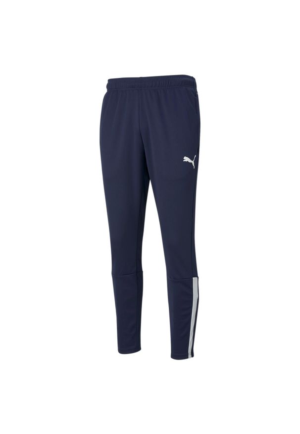 Spodnie męskie Puma teamLIGA Training Pants. Kolor: biały, wielokolorowy, niebieski. Sport: piłka nożna