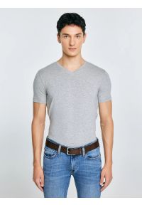 Big-Star - Koszulka męska v-neck z bawełny supima szara Supiclassicov 901. Kolor: szary. Materiał: bawełna. Długość: długie #1