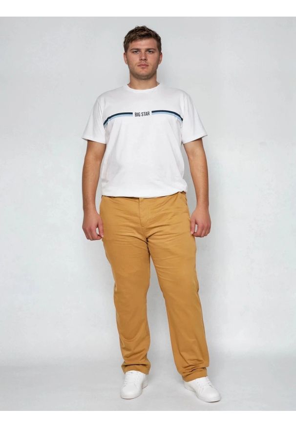 Big-Star - Spodnie męskie chinosy brązowe Trevor 802. Okazja: na co dzień. Kolor: brązowy. Materiał: tkanina. Wzór: haft. Styl: elegancki, casual, klasyczny