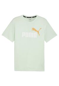 Puma - T-shirt Męski Logo Dwa Tony Essentials+. Kolor: zielony