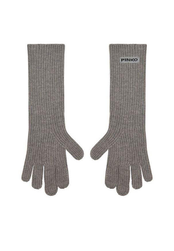 Pinko - Rękawiczki Damskie PINKO. Kolor: szary