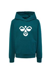 Bluza z kapturem dla dzieci Hummel Cuatro. Typ kołnierza: kaptur. Kolor: zielony. Materiał: bawełna #1
