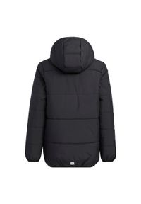 Adidas - Kurtka dziecięca adidas Padded Winter. Kolor: czarny. Materiał: puch. Styl: sportowy #2