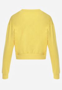 Renee - Żółta Bluza z Bawełną ze Ściągaczami przy Rękawach i w Pasie Alberia. Kolor: żółty. Materiał: bawełna #3