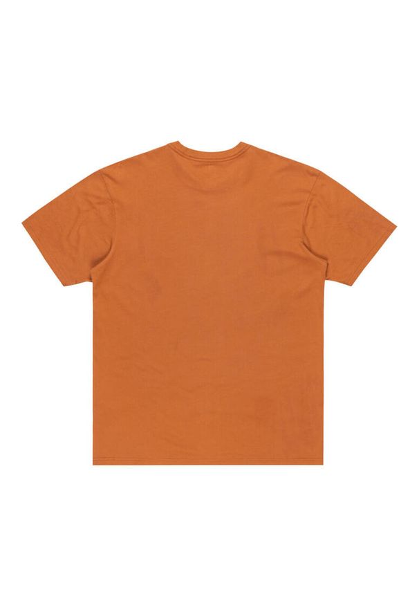 Quiksilver - Koszulka z krótkim rękawem dla Mężczyzn SALT WATER Brązowy. Kolor: brązowy. Materiał: materiał, bawełna. Długość rękawa: krótki rękaw. Długość: krótkie