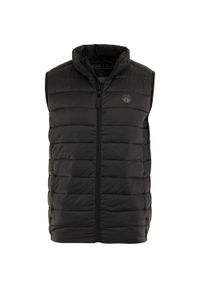 VESTEM - People Rep Codro kamizelka męska, asfaltowy szary, pikowana. Kolor: szary, fioletowy, wielokolorowy. Materiał: puch #1