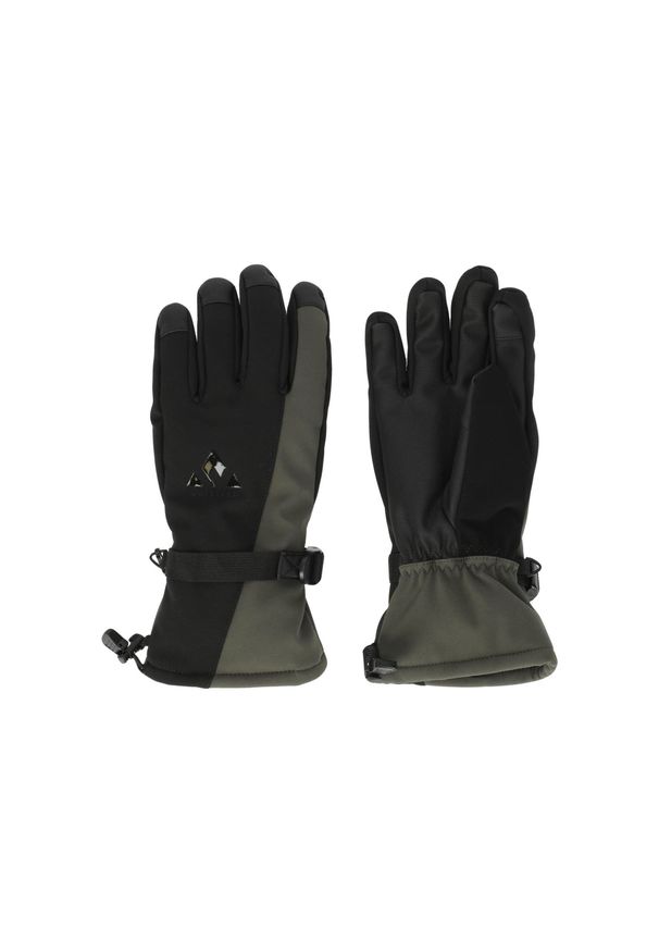Rękawice narciarskie Whistler Fenwick. Kolor: wielokolorowy, czarny, zielony. Sezon: zima. Sport: narciarstwo
