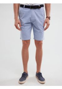 Big-Star - Szorty męskie bawełniane błękitne Gusto 401. Kolor: niebieski. Materiał: bawełna. Wzór: prążki. Styl: klasyczny, wakacyjny #1