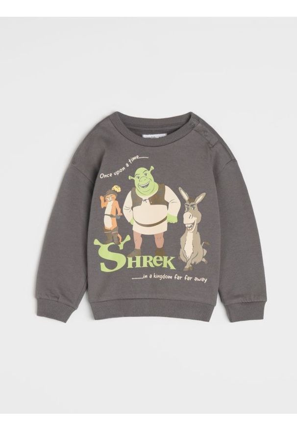 Sinsay - Bluza Shrek - szary. Kolor: szary. Wzór: nadruk