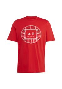 Adidas - Arsenal Graphic Tee. Kolor: czerwony. Materiał: materiał