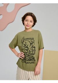 Sinsay - Koszulka oversize - zielony. Kolor: zielony #1