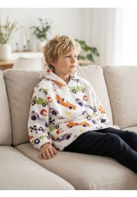 Sinsay - Bluza snuddie - wielobarwny #1