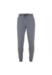 PEAK MOUNTAIN - Spodnie dresowe z weluru Peak Mountain Cisco. Kolor: szary. Materiał: welur, dresówka. Sport: bieganie, fitness #1