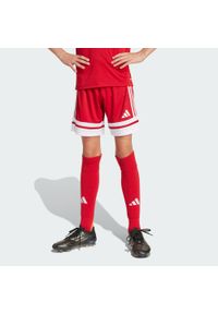 Adidas - Szorty Squadra 25 Kids. Kolor: czerwony, biały, wielokolorowy. Sport: piłka nożna #1