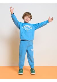 Sinsay - Spodnie dresowe oversize z napisem - niebieski. Kolor: niebieski. Materiał: dresówka. Wzór: napisy #1