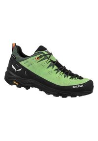 Buty trekkingowe męskie Salewa Alp Trainer 2 Gtx. Kolor: wielokolorowy, czarny, zielony. Materiał: zamsz, materiał, syntetyk. Szerokość cholewki: normalna