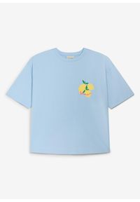 bonprix - T-shirt oversize z czystej bawełny organicznej. Okazja: na co dzień. Kolor: niebieski. Materiał: bawełna. Długość rękawa: krótki rękaw. Długość: krótkie. Wzór: nadruk. Styl: casual #1