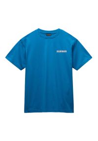 Koszulka męska Napapijri S-Linth. Kolor: niebieski. Sport: turystyka piesza #1