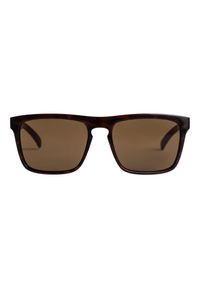 Quiksilver - Okulary przeciwsłoneczne dla Mężczyzn FERRIS Brązowy. Kolor: brązowy. Materiał: guma