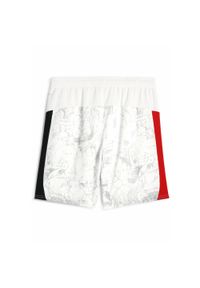 Puma - Męskie szorty KIDSUPER × MANCHESTER CITY PUMA White Black. Kolor: biały, czarny, wielokolorowy. Sezon: lato. Sport: fitness