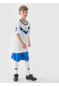 4f - 4F Koszulka klubowa wyjazdowa z sezonu 2024/25 chłopięca 4F x Stal Mielec - multikolor 122/128 (6-8 lat). Okazja: do domu, na urodziny. Kolor: wielokolorowy. Materiał: dzianina. Sezon: lato