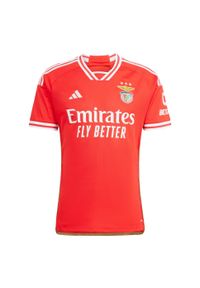 Adidas - Koszulka do piłki nożnej męska Benfica 23/24 Home Jersey. Kolor: czerwony. Materiał: jersey