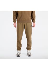 Spodnie męskie New Balance MP31539DHE – brązowe. Kolor: brązowy. Materiał: dresówka, bawełna, materiał, poliester. Sport: fitness