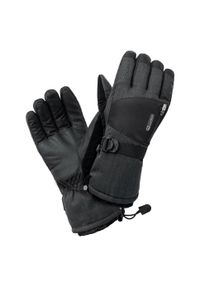Rękawice narciarskie Elbrus Rihhar. Kolor: szary, wielokolorowy, czarny. Sezon: zima. Sport: narciarstwo #2