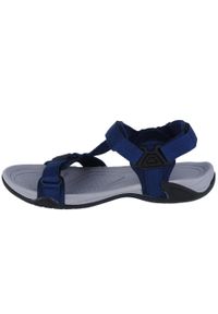 Sandały męskie, CMP Hamal Hiking Sandal. Zapięcie: rzepy. Kolor: wielokolorowy, niebieski, czarny. Materiał: materiał, syntetyk, tkanina. Sport: turystyka piesza