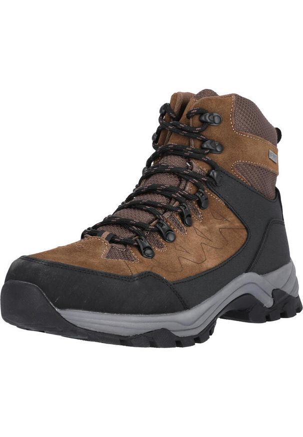 Buty trekkingowe Whistler Detion WP. Kolor: czarny, brązowy, wielokolorowy. Sport: turystyka piesza