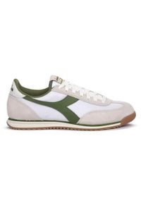 Buty do chodzenia męskie Diadora D1300. Zapięcie: sznurówki. Kolor: wielokolorowy. Materiał: tkanina. Szerokość cholewki: normalna. Sport: turystyka piesza #1