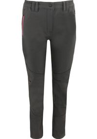 ZSPORT - Damskie Spodnie Softshell Miura - Styl i Wygoda. Kolor: szary. Materiał: softshell. Sport: turystyka piesza