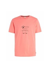 Koszulka Protest Prtahaird. Kolor: różowy. Materiał: bawełna. Sezon: lato. Sport: turystyka piesza #1