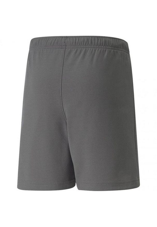 Puma - Spodenki TeamRISE Dla Dzieci. Kolor: szary. Styl: sportowy. Sport: turystyka piesza