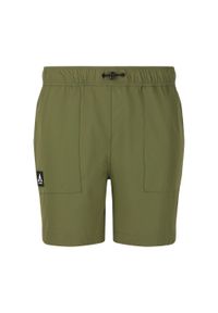 Spodenki trekkingowe męskie Whistler Trek. Kolor: zielony. Sport: turystyka piesza #1