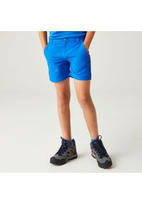 Regatta - Dziecięce spodenki trekkingowe Sorcer Mountain III. Kolor: niebieski. Materiał: materiał. Styl: sportowy. Sport: turystyka piesza #1