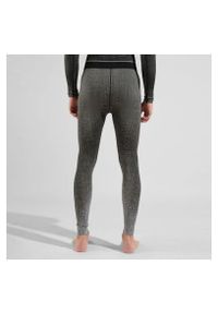 Legginsy termoaktywne męskie Odlo BLACKCOMB ECO. Kolor: szary
