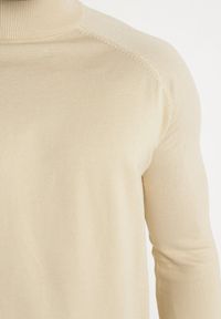 Born2be - Jasnobeżowy Wiskozowy Sweter z Półgolfem i Ściągaczami Winttas. Kolor: beżowy. Materiał: wiskoza. Wzór: gładki. Styl: klasyczny #3