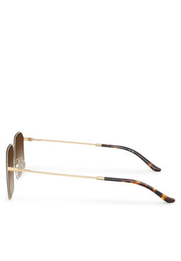 Emporio Armani Okulary przeciwsłoneczne 0EA2165D 300213 Brązowy. Kolor: brązowy