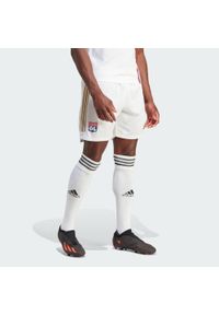 Adidas - Olympique Lyonnais 23/24 Home Shorts. Kolor: biały. Materiał: materiał