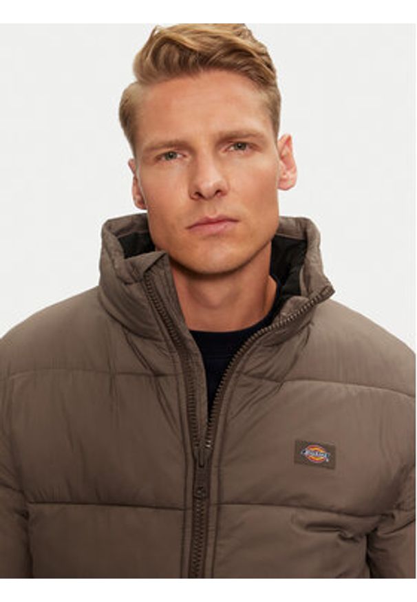 Dickies Kurtka przejściowa Waldenburg DK0A4XP2MR1 Brązowy Regular Fit. Kolor: brązowy. Materiał: syntetyk